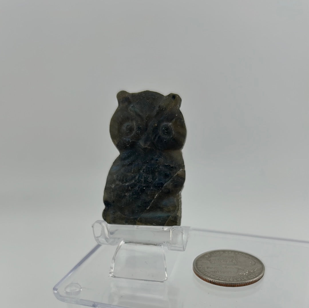 Labradorite Owl