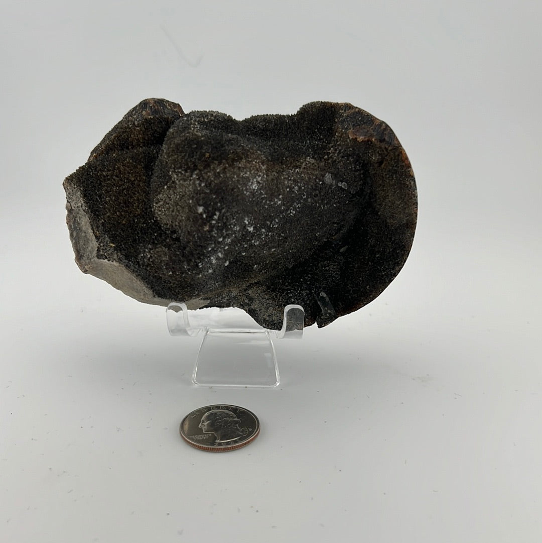 Septarian Free Form