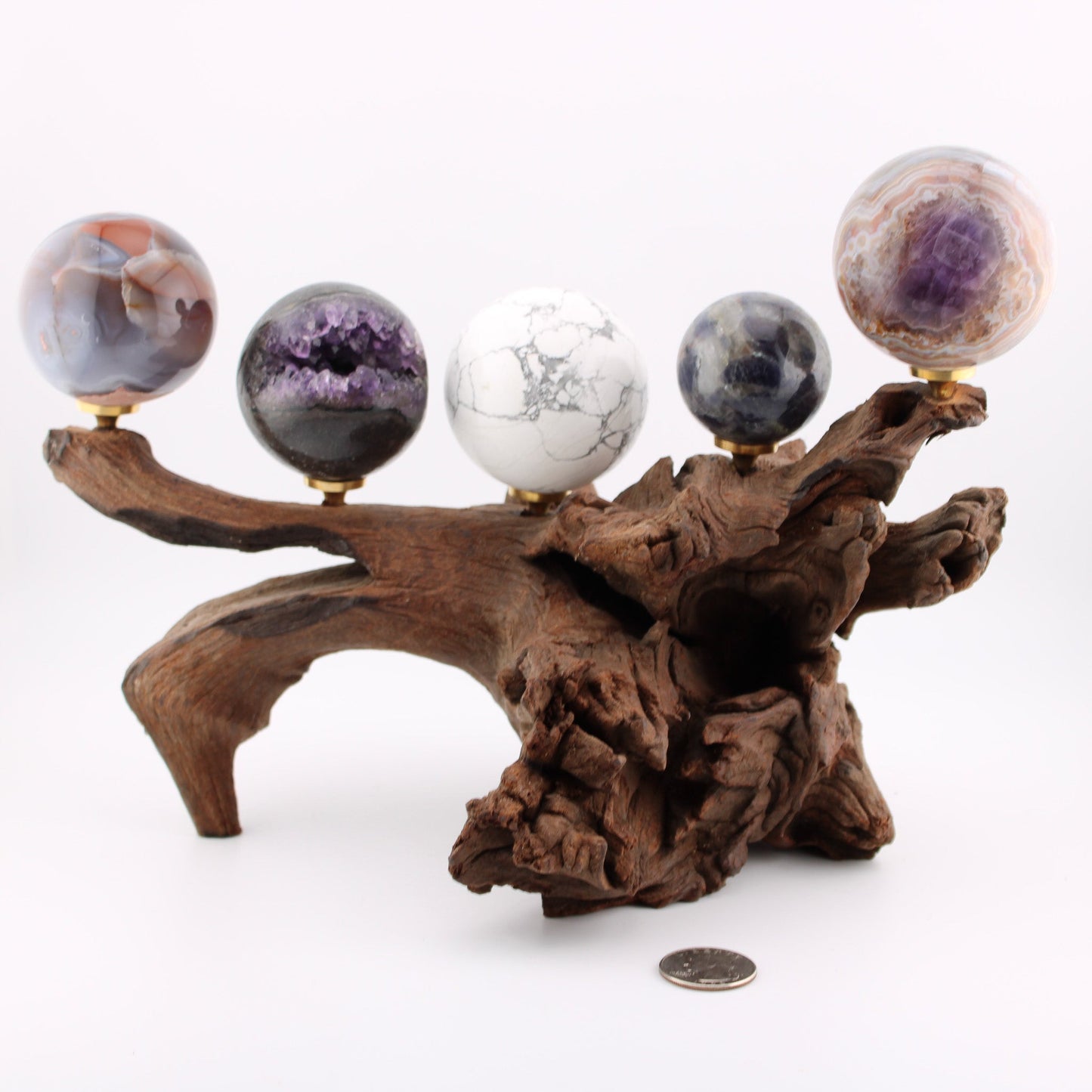Driftwood Sphere Holder