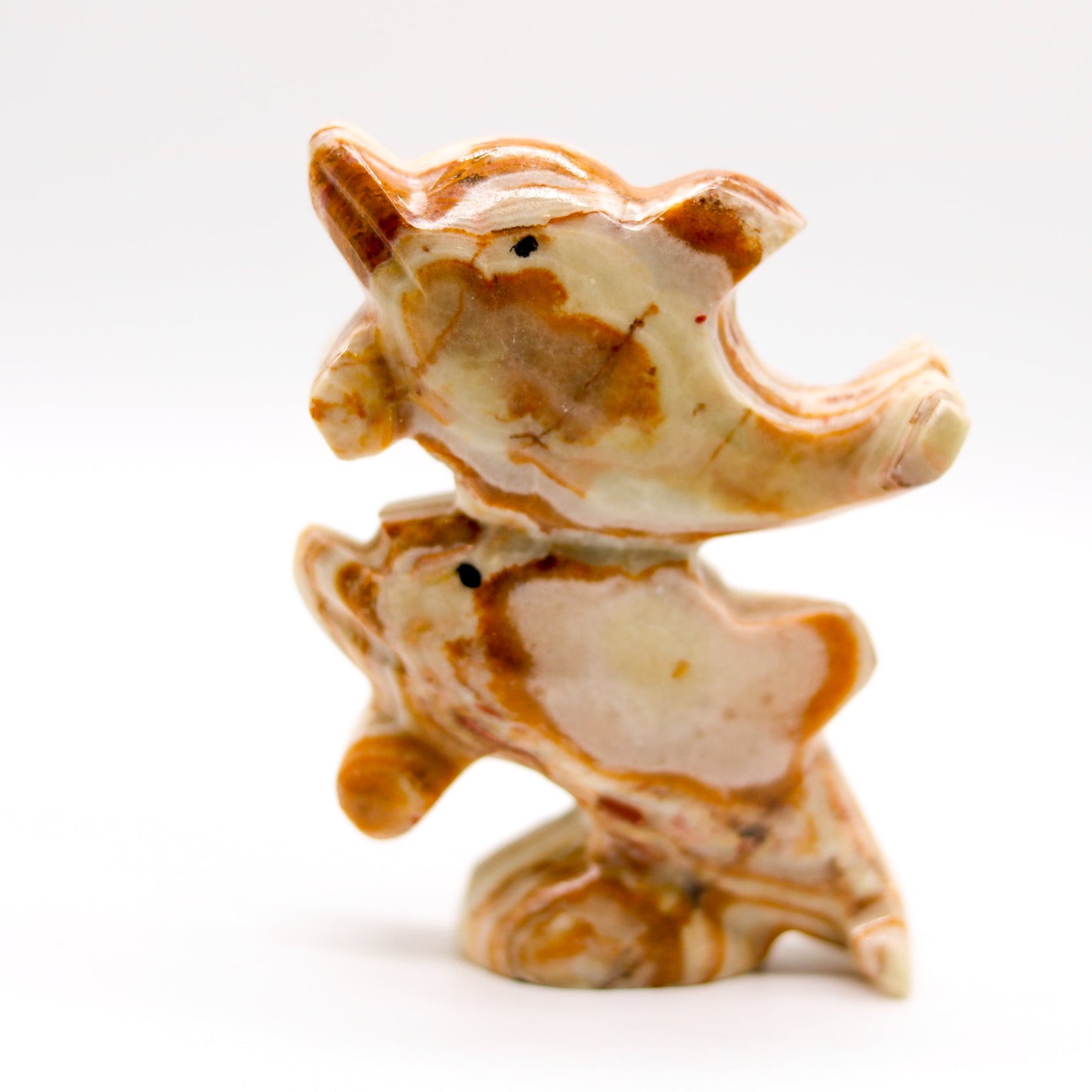 Pakistanian Onyx Dolphin