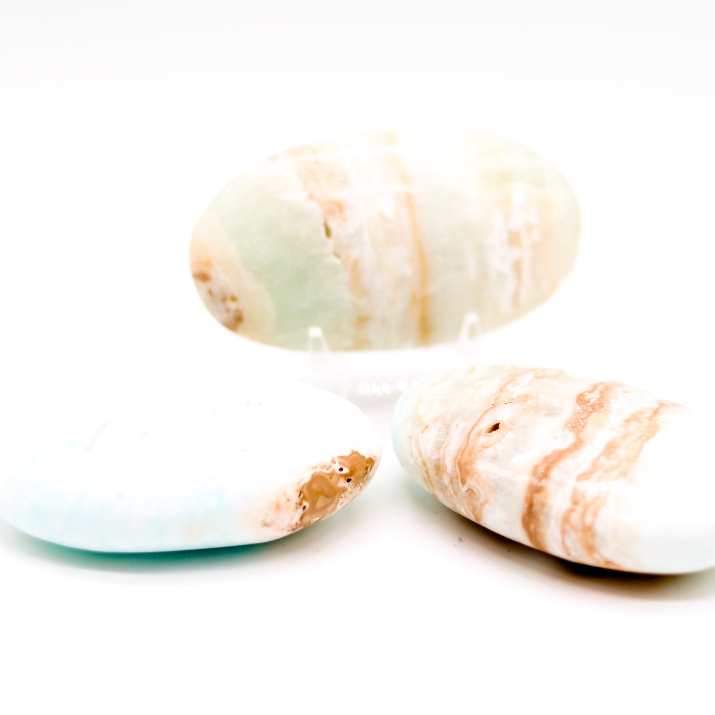 Caribbean  Calcite Palm Stone