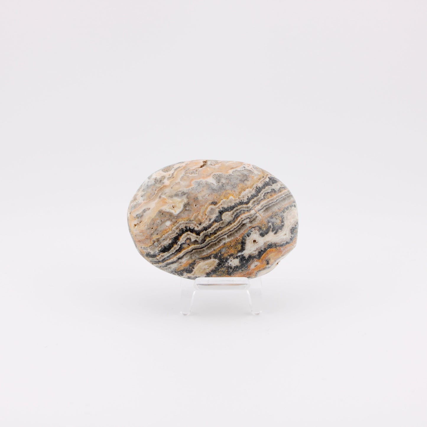 Bumblebee  Jasper Palm Stone