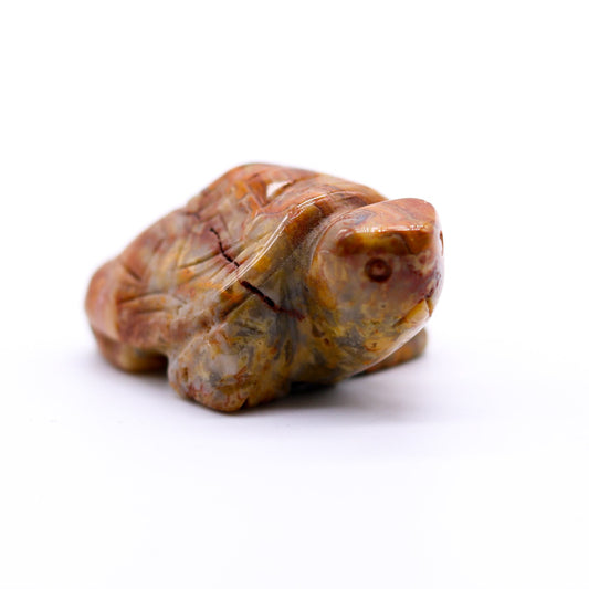 Crazy Lace Agate Turtle