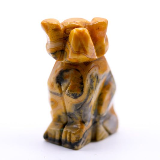 Crazy Lace Agate Dog