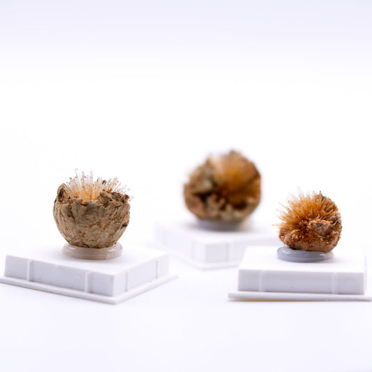 Fluorecent Aragonite Raw