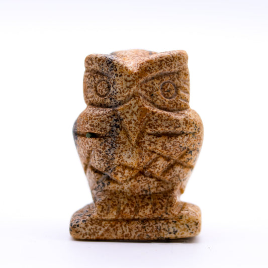 Picture Jasper Owl
