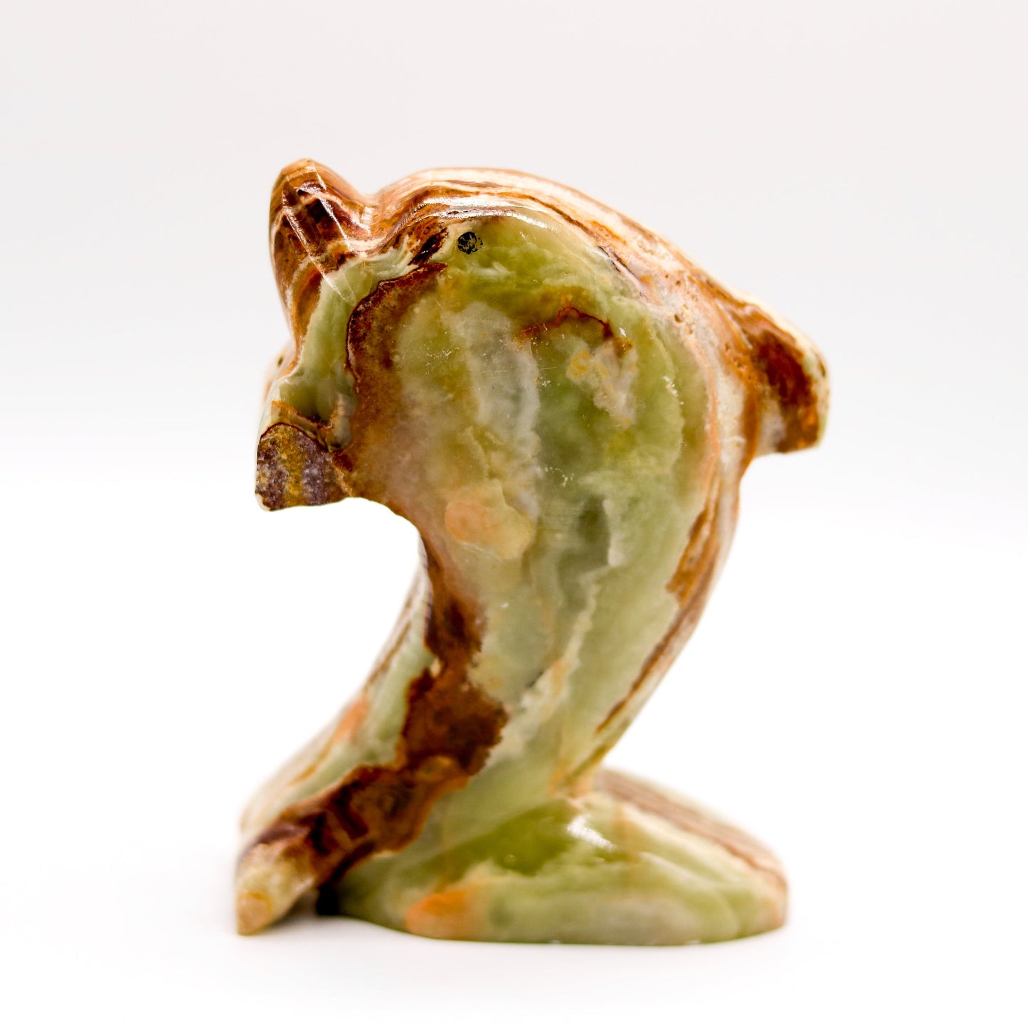 Pakistanian Onyx Dolphin