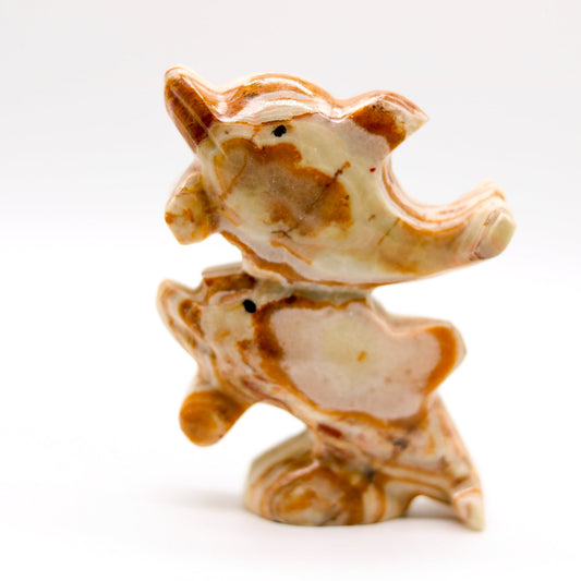 Pakistanian Onyx Dolphin