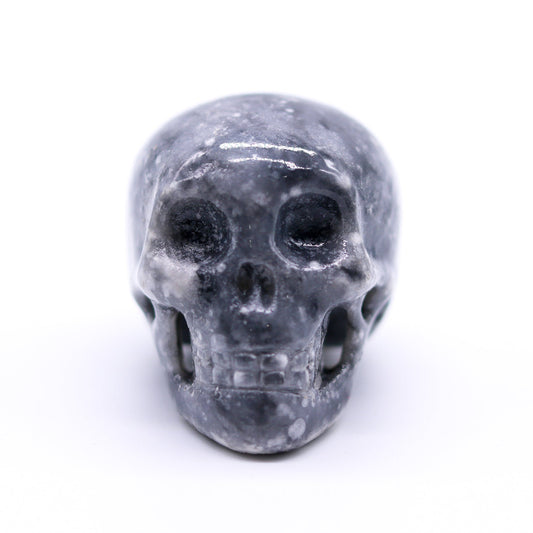 Shell Jasper Skull